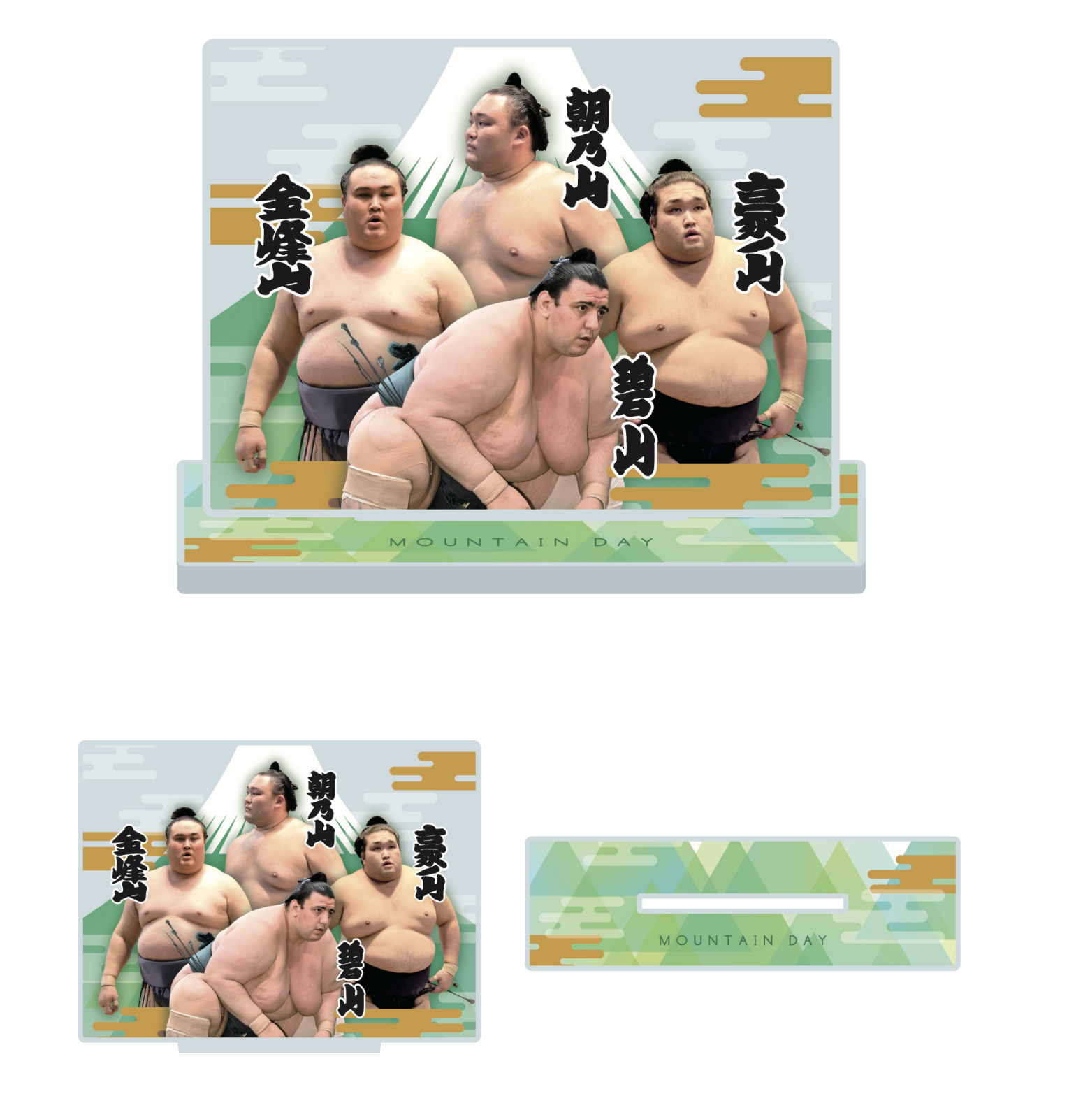 大相撲 山の日パズル 300ピース 朝乃山 金峰山 豪ノ山 碧山