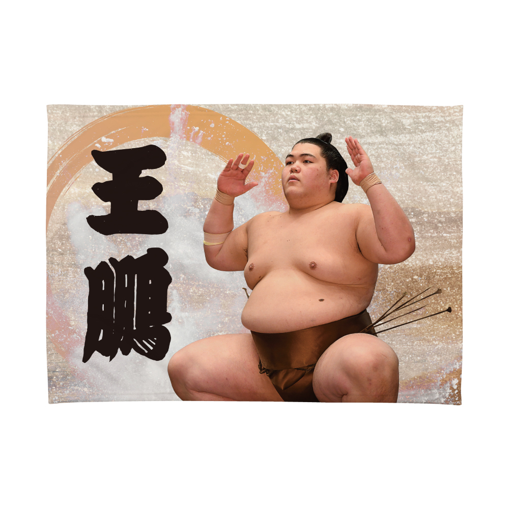 相撲番付表　９枚セット 相撲 番付表 昭和25年5月14日｜Yahoo!フリマ（旧PayPayフリマ）