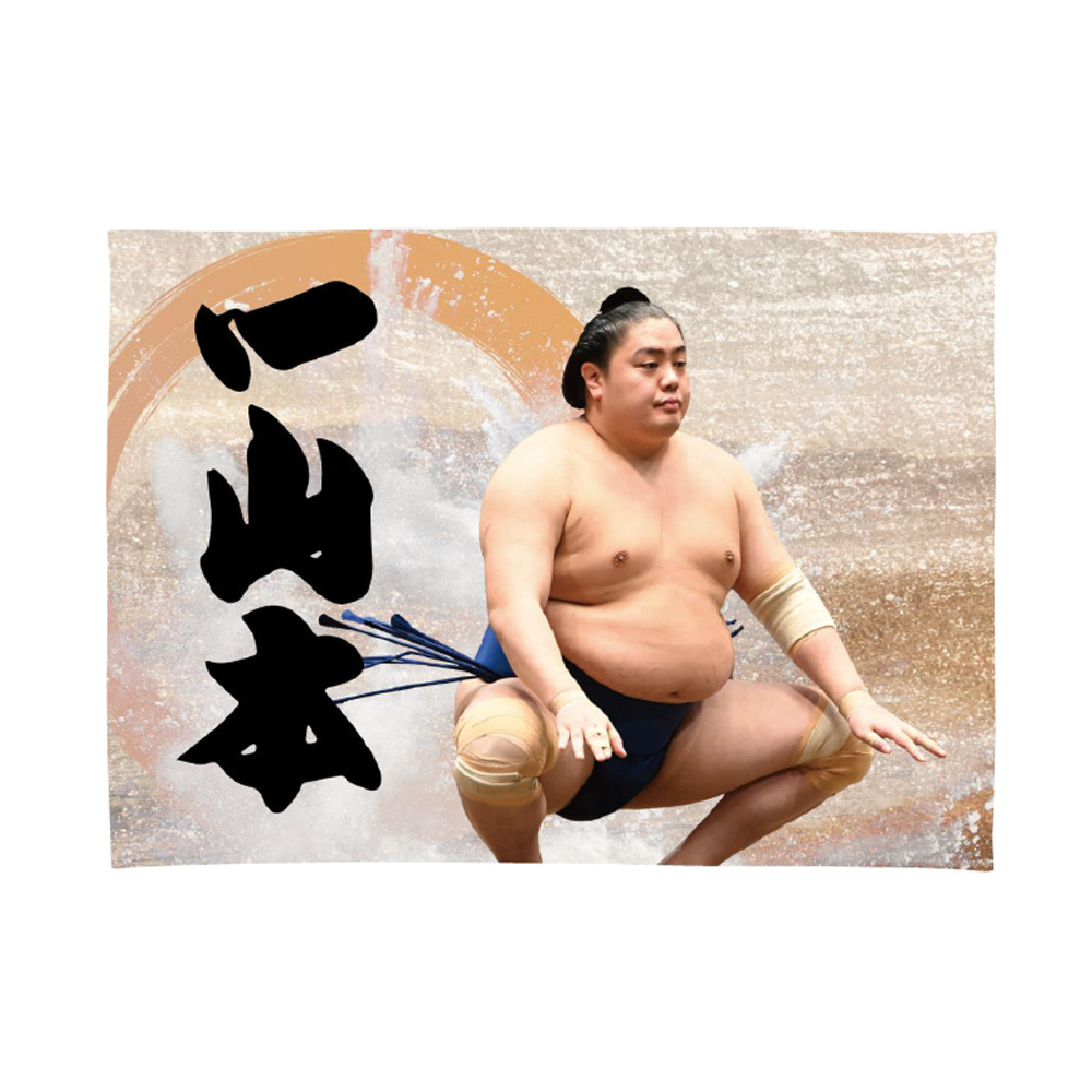 大相撲 2019年 カレンダー 壁掛け 2019年大相撲カレンダー - メルカリ