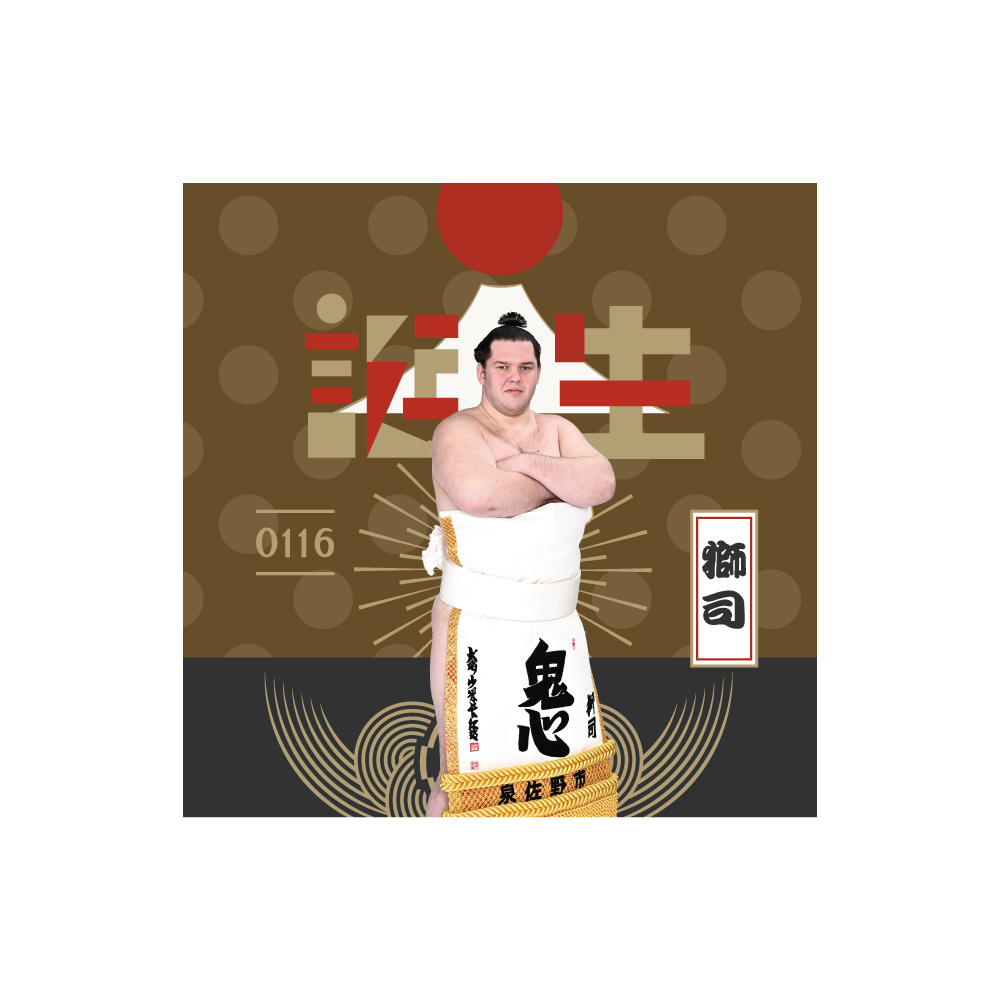 【レア物】大相撲グッズ【未使用品】 楽天市場】輪島博関 優勝ミニ額 大相撲ミニ額 大相撲優勝額 昭和