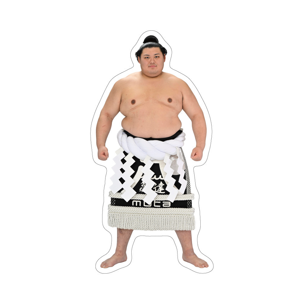 E賞 仮画像1