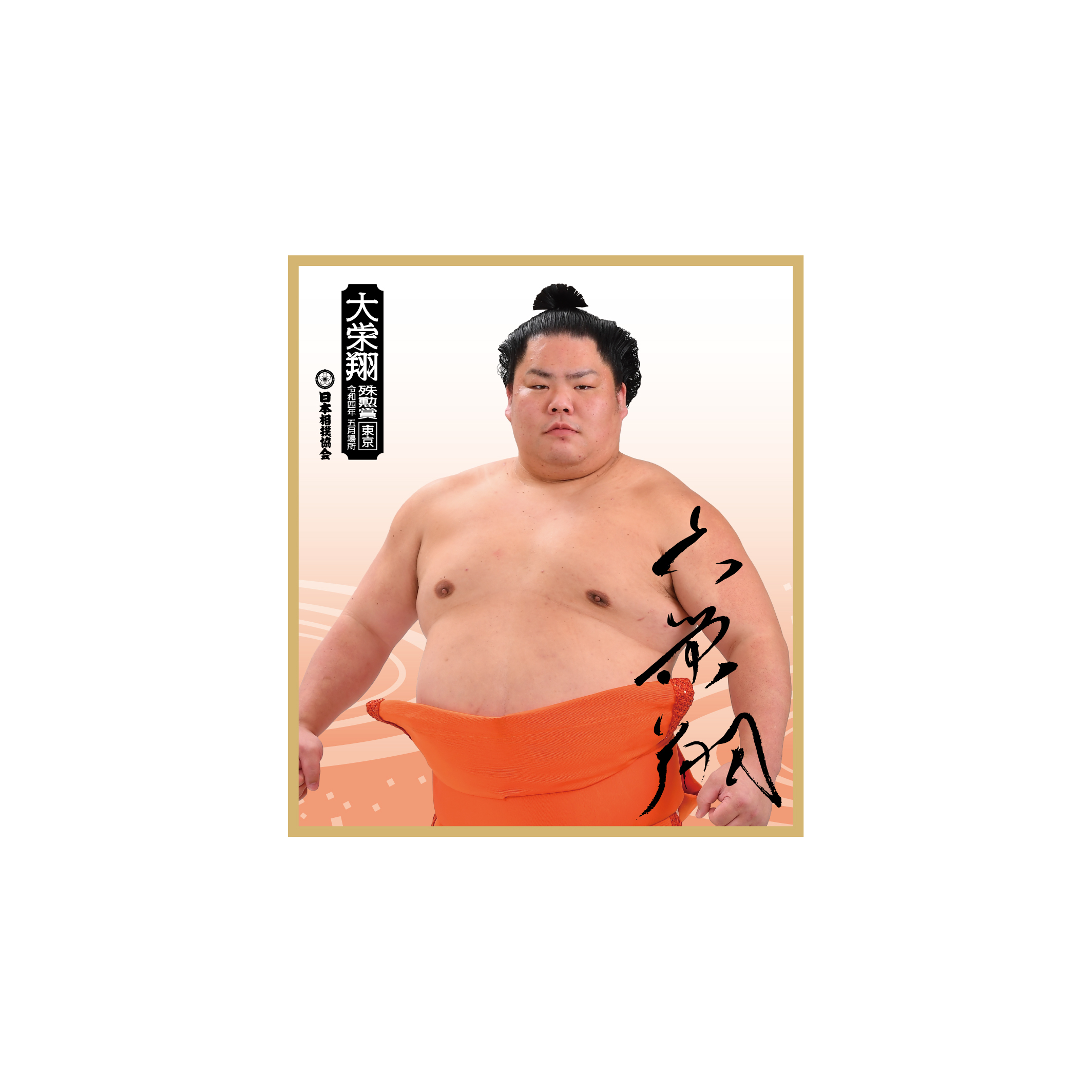 【五月場所優勝・三賞記念】写真入り色紙