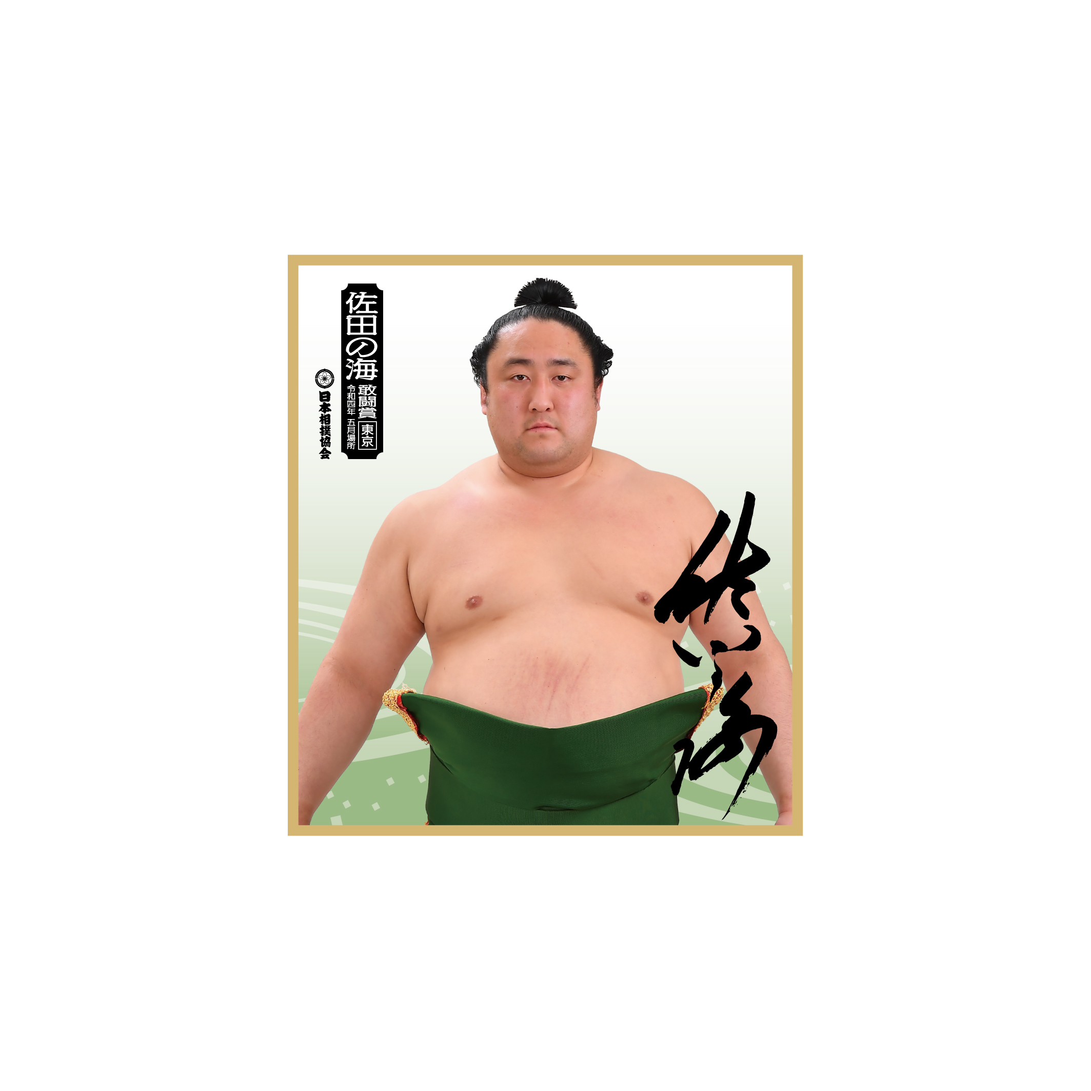 【五月場所優勝・三賞記念】写真入り色紙