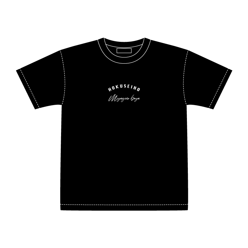 ヘビーウェイト力士Tシャツ(北青鵬/王鵬/髙安/玉鷲/佐田の海/錦富士)
