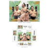 大相撲 山の日パズル 300ピース 朝乃山 金峰山 豪ノ山 碧山