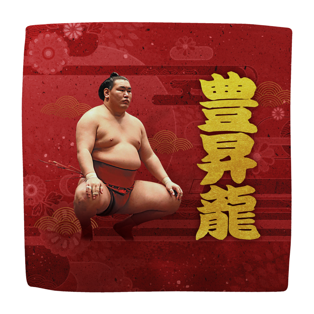 応援グッズ】力士ハンカチ（第1弾） | 日本相撲協会 | 大相撲公式