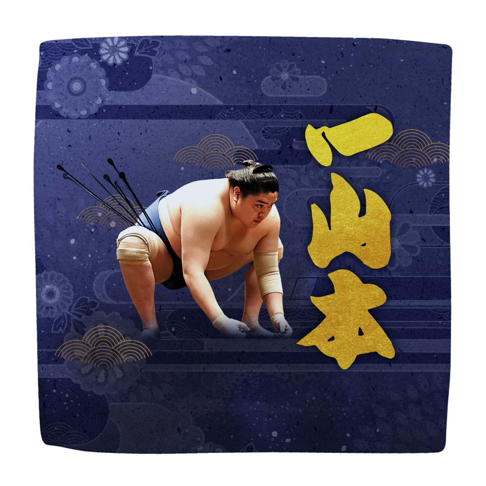 応援グッズ】力士ハンカチ（第1弾） | 日本相撲協会 | 大相撲