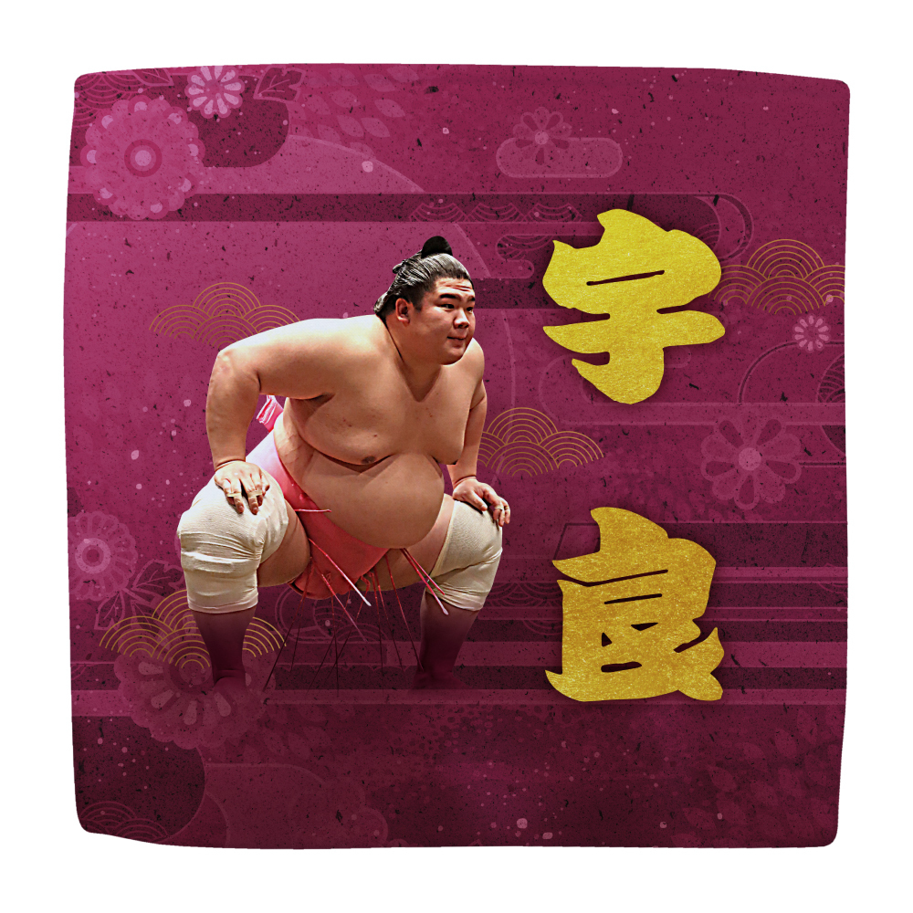 応援グッズ】力士ハンカチ（第1弾） | 日本相撲協会 | 大相撲公式