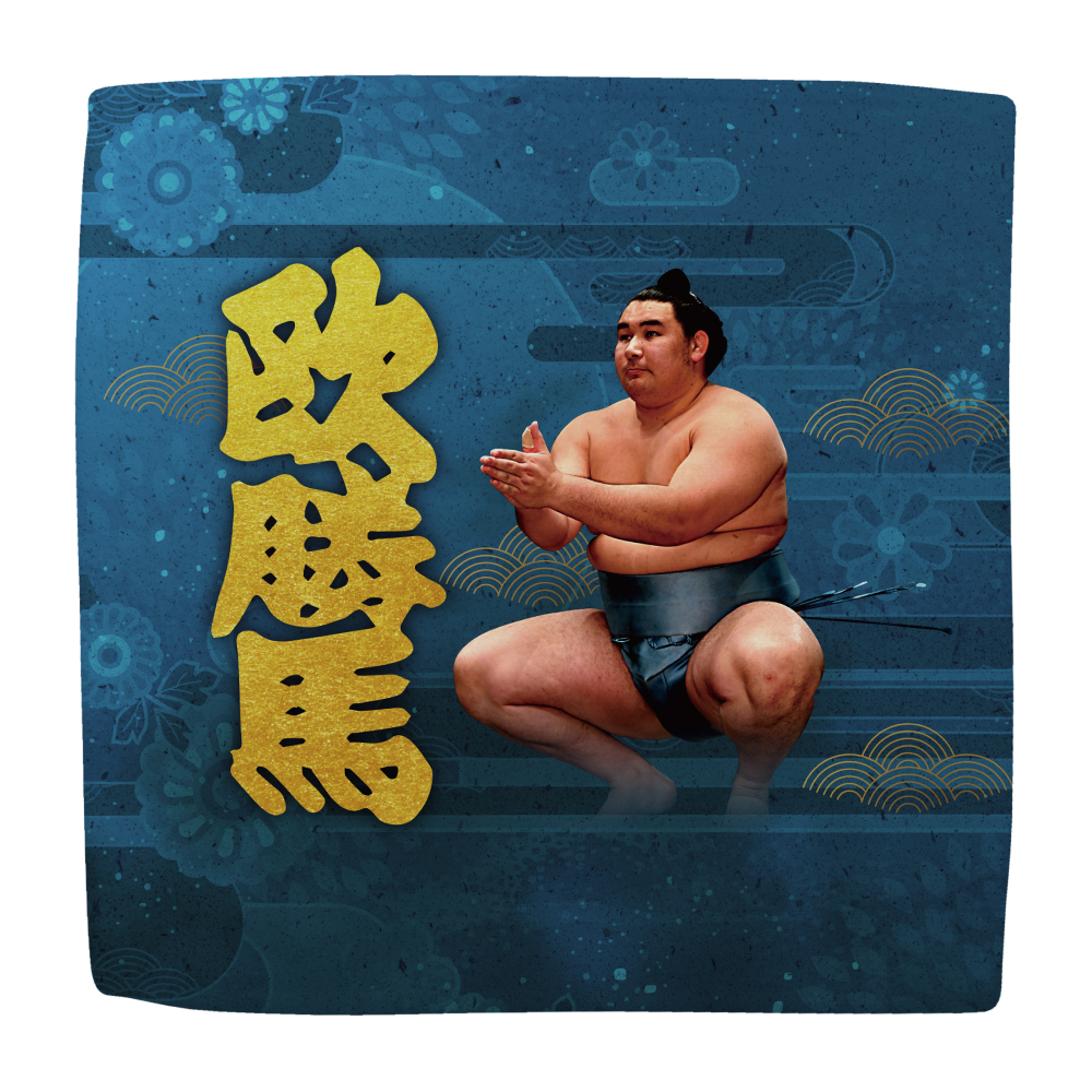 【応援グッズ】力士ハンカチ(第1弾)