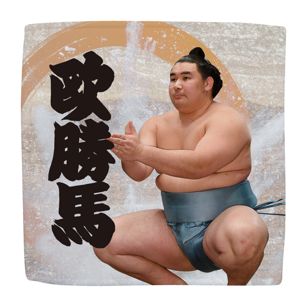 【応援グッズ】力士ハンカチ(第2弾)