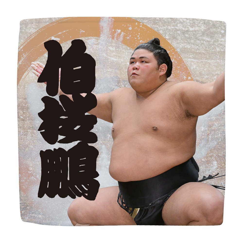 【応援グッズ】力士ハンカチ（第2弾）