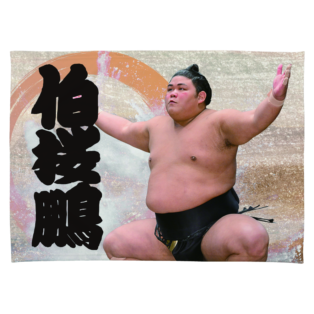 【応援グッズ】大ブランケット