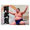 【応援グッズ】大ブランケット