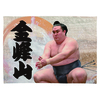 【応援グッズ】大ブランケット