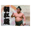 【応援グッズ】大ブランケット