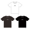 英字Tシャツ（豊昇龍/琴櫻/霧島/若元春/伯桜鵬/嘉陽）