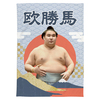 【応援グッズ】大ブランケット（青海波）