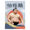 【応援グッズ】大ブランケット（青海波）