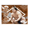 【応援グッズ】小ブランケット（光）