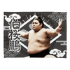 【応援グッズ】小ブランケット（光）