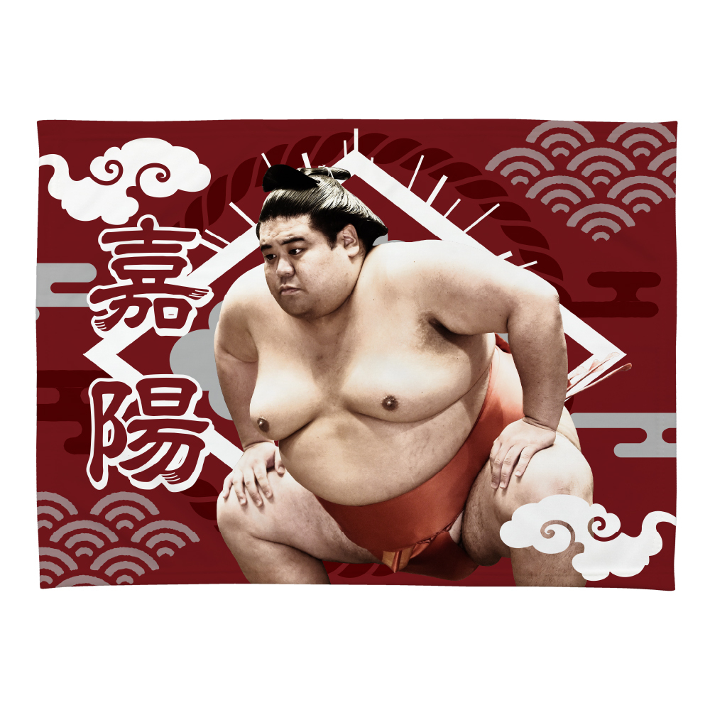 【応援グッズ】小ブランケット(光)