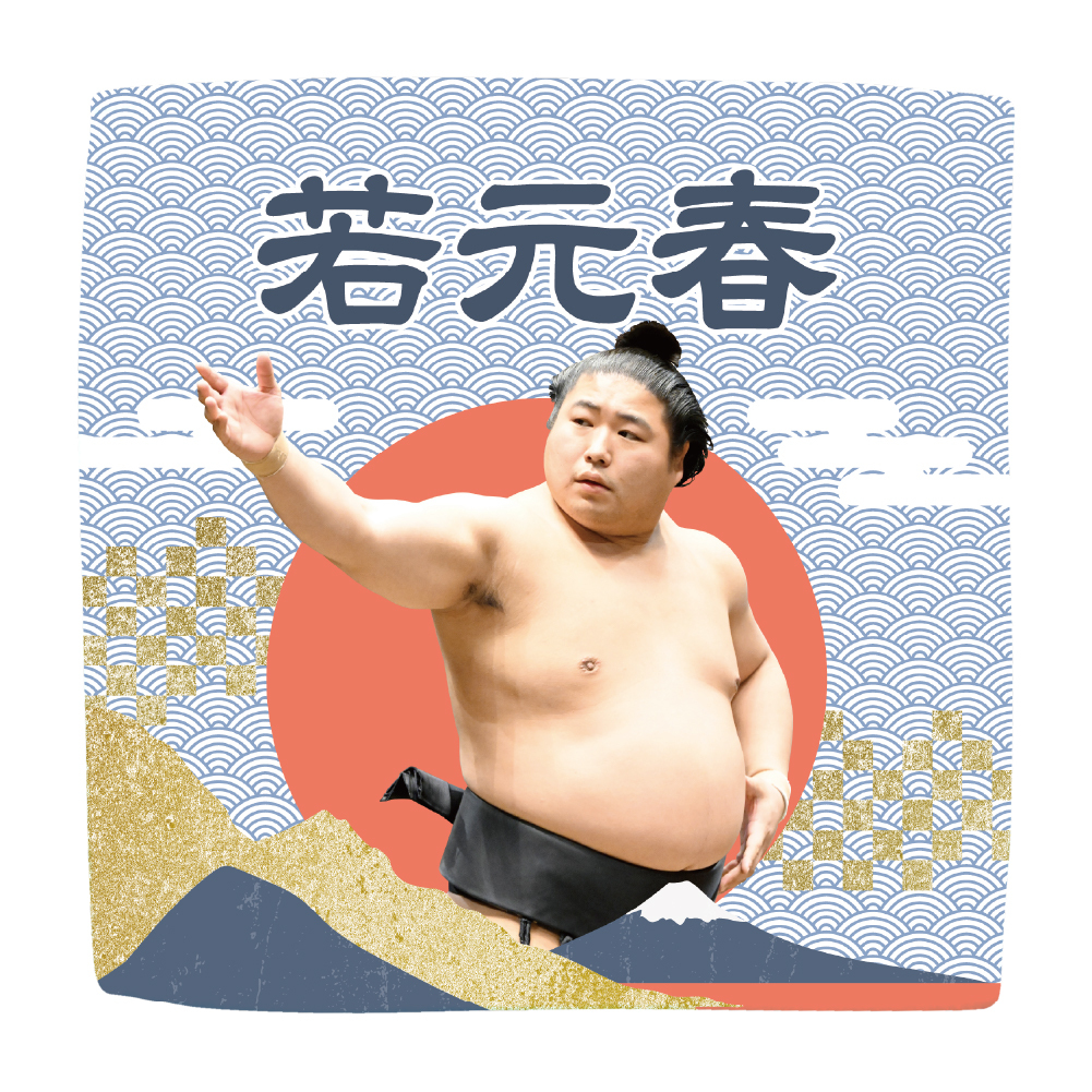 【応援グッズ】力士ハンカチ（青海波）