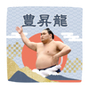 【応援グッズ】力士ハンカチ（青海波）