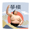 【応援グッズ】力士ハンカチ（青海波）