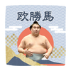 【応援グッズ】力士ハンカチ（青海波）