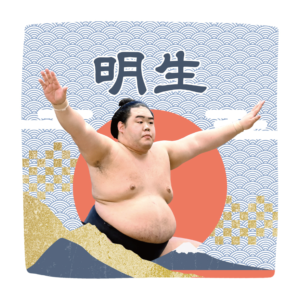 【応援グッズ】力士ハンカチ(青海波)