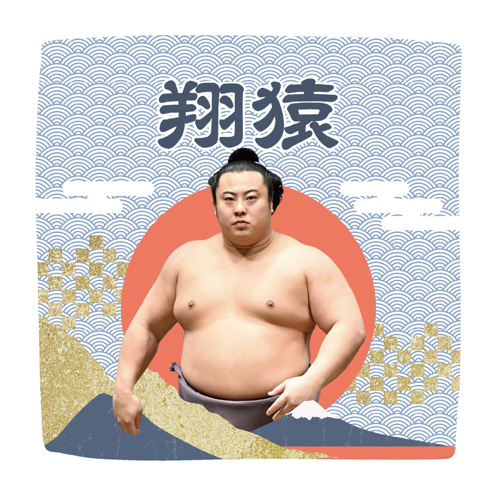 【応援グッズ】力士ハンカチ(青海波)