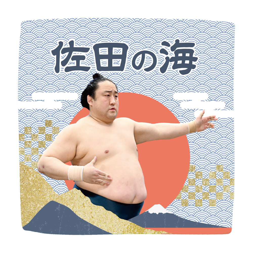 【応援グッズ】力士ハンカチ(青海波)