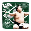 【応援グッズ】力士ハンカチ（光）