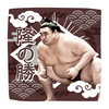 【応援グッズ】力士ハンカチ（光）