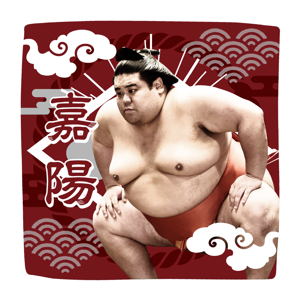 【応援グッズ】力士ハンカチ(光)