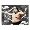 【応援グッズ】小ブランケット（光）