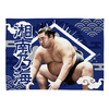【応援グッズ】小ブランケット（光）