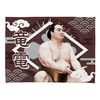 【応援グッズ】小ブランケット（光）