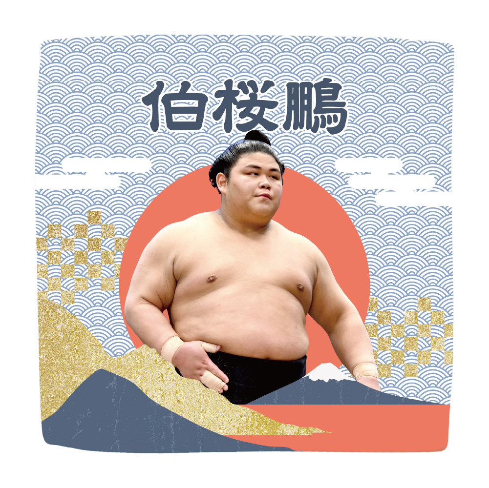 【応援グッズ】力士ハンカチ（青海波）