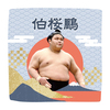 【応援グッズ】力士ハンカチ（青海波）