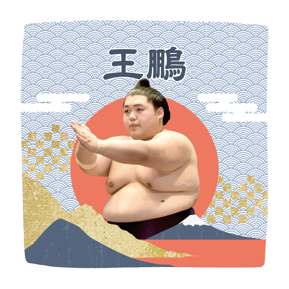 【応援グッズ】力士ハンカチ（青海波）