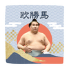 【応援グッズ】力士ハンカチ（青海波）