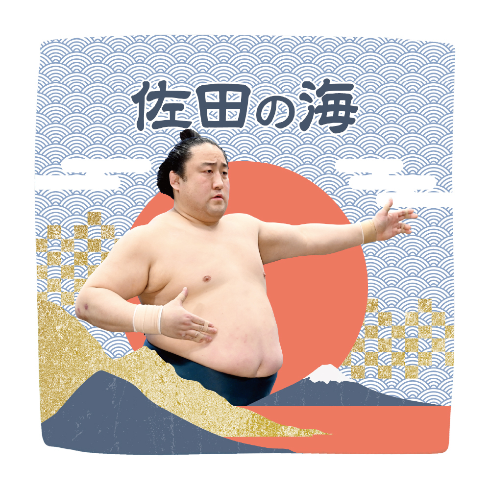 【応援グッズ】力士ハンカチ（青海波）