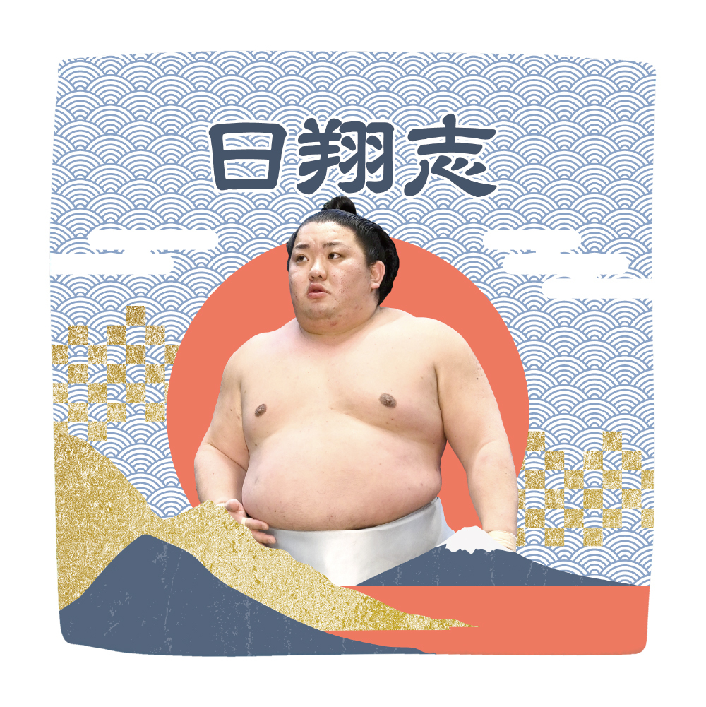【応援グッズ】力士ハンカチ（青海波）