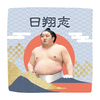 【応援グッズ】力士ハンカチ（青海波）