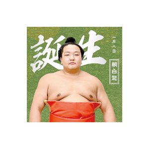 【1、2月バースデー】風呂敷（第2弾）