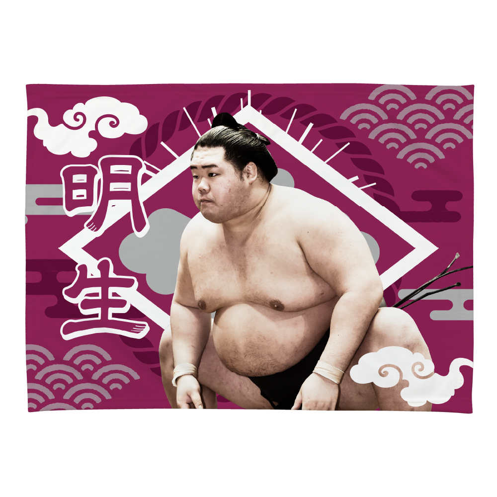 【応援グッズ】小ブランケット(光)