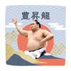 【応援グッズ】力士ハンカチ（青海波）