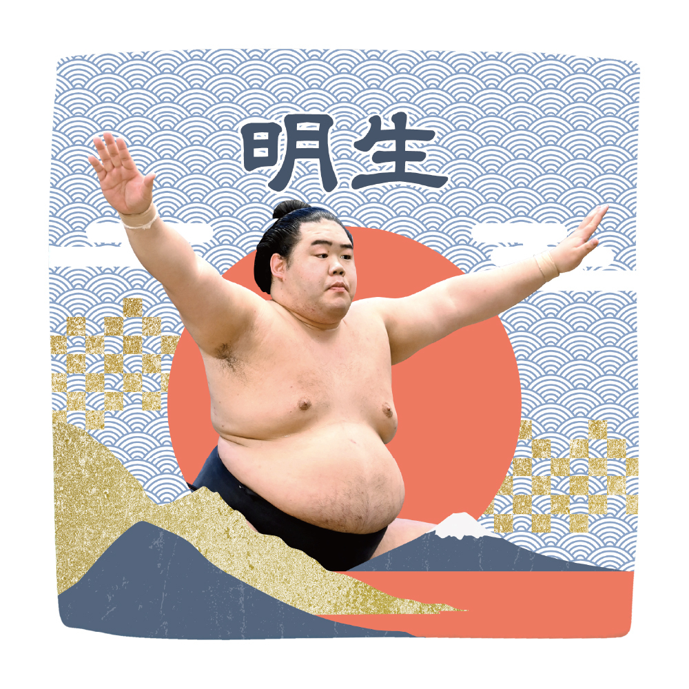 【応援グッズ】力士ハンカチ(青海波)