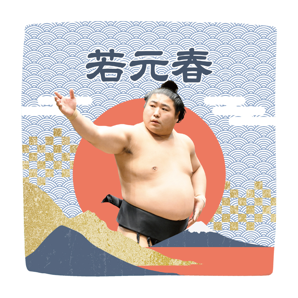 【応援グッズ】力士ハンカチ（青海波）